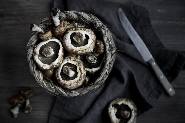 Photograph Yurii Bulanov Mushrooms on One Eyeland