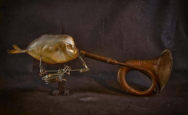 Photograph Valentin Ivantsov Fish And Horn on One Eyeland