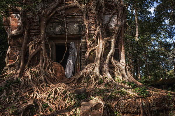 Photograph Alexander Kamakaev Lost 2 on One Eyeland