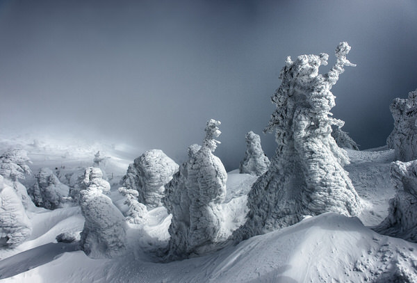 Photograph Kazuaki Koseki Standing Quietly In The Fog on One Eyeland
