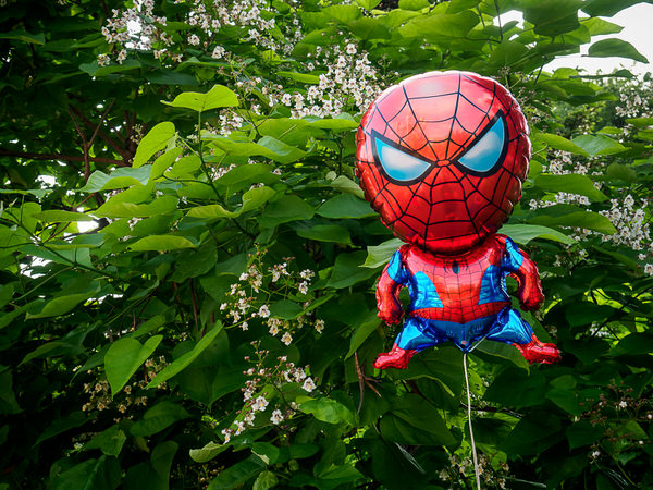 Photograph Marius Surleac Spiderman on One Eyeland