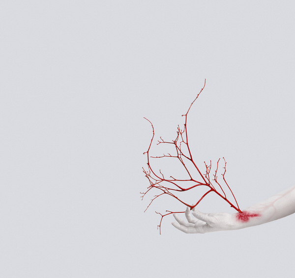 Photograph Nataly Golubeva Veins on One Eyeland