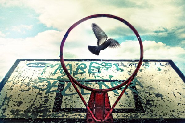 Photograph Ivana Todorovic The Illusion Of Freedom on One Eyeland