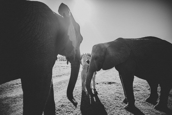 Photograph Daniel Le Grange Harmony on One Eyeland