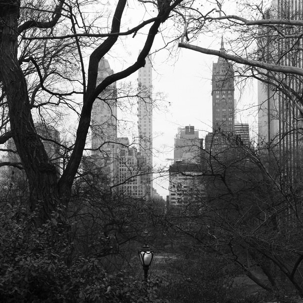 Photograph Oleg Ustyukhin Central Park on One Eyeland