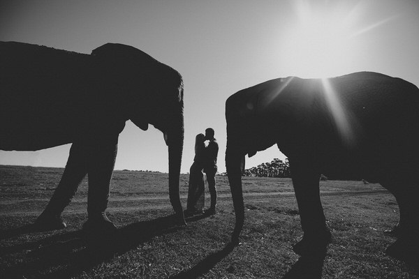 Photograph Daniel Le Grange Afrique on One Eyeland