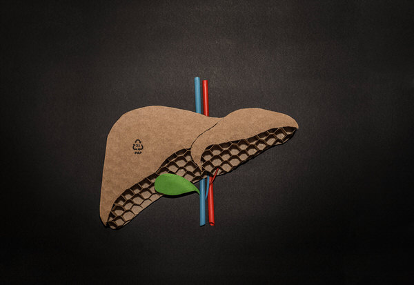 Photograph Antonio Coelho Liver on One Eyeland