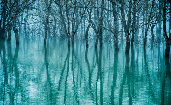 Photograph Kazuaki Koseki Into The Fog on One Eyeland