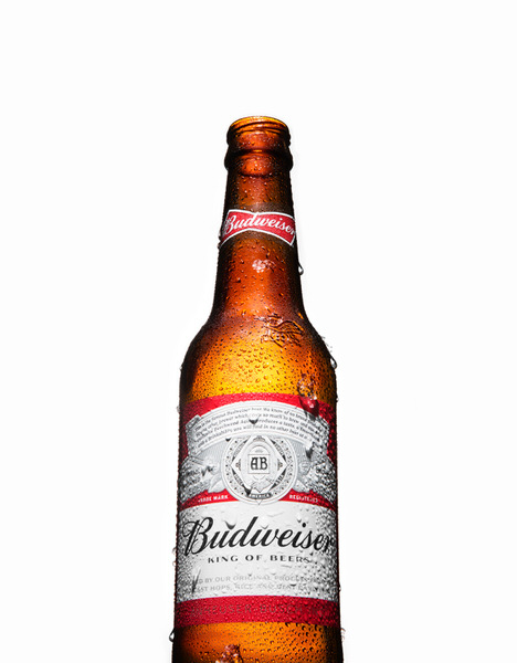 Photograph David Stinson Bud on One Eyeland