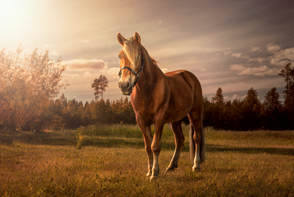 Photograph Juhamatti Vahdersalo Breeze on One Eyeland
