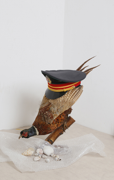 Photograph Alice De Kruijs Birds on One Eyeland