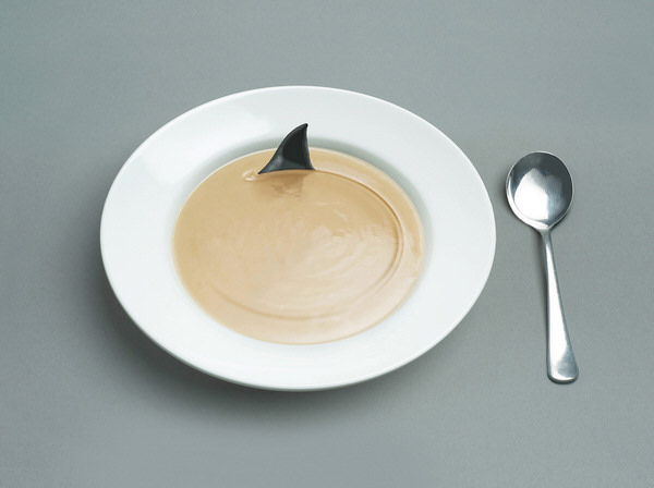 Photograph Christopher Doyle Sharks Fin Soup on One Eyeland