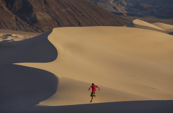 Photograph Woods Wheatcroft Dune Runner on One Eyeland