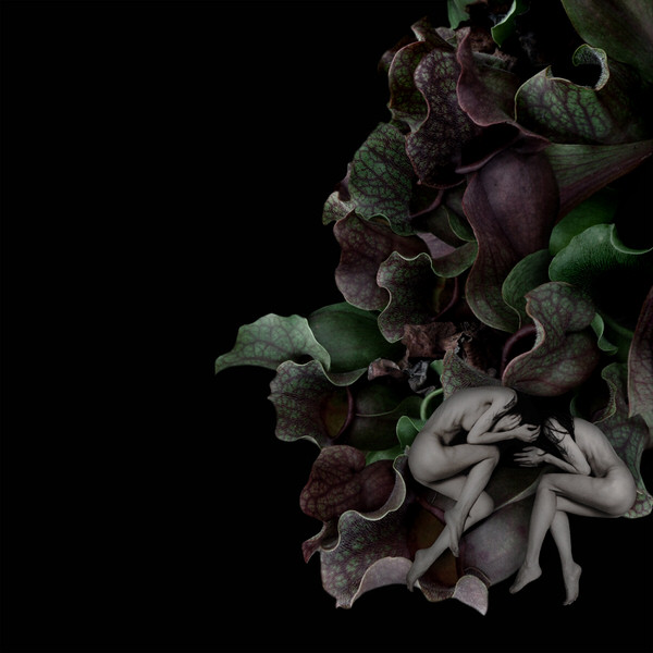Photograph Sui Sawada Self Portrait Sarracenia Purpurea on One Eyeland