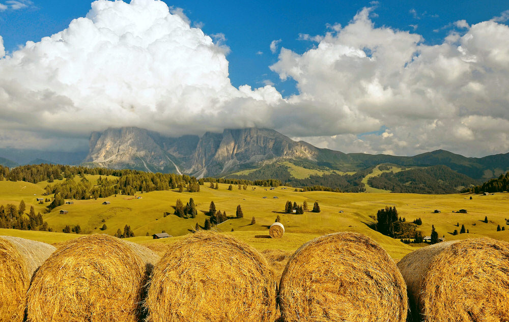 Photograph Imar Dewaard The Dolomites Seiser Alm on One Eyeland