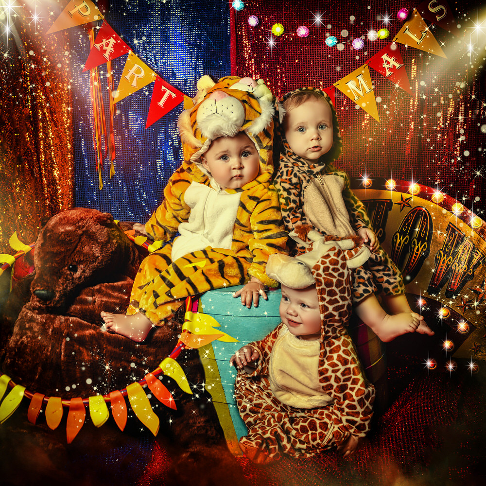 Photograph Vicki Lea Boulter Party Animals on One Eyeland