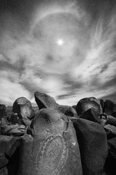Photograph Craig Bill Circle Of Life on One Eyeland