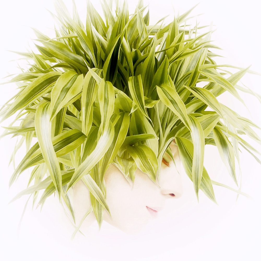Photograph Kazutoshi Kawakami Mind Of Leaves on One Eyeland