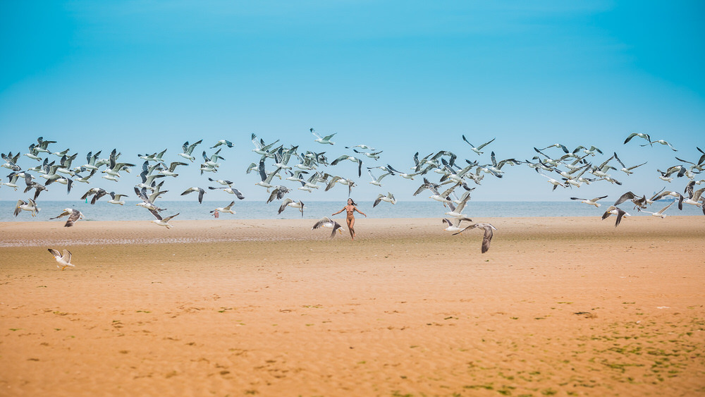 Photograph Thierry Smets Beach 25 on One Eyeland