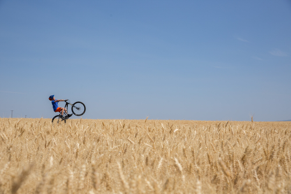 Photograph Woods Wheatcroft Wheelie Boy on One Eyeland