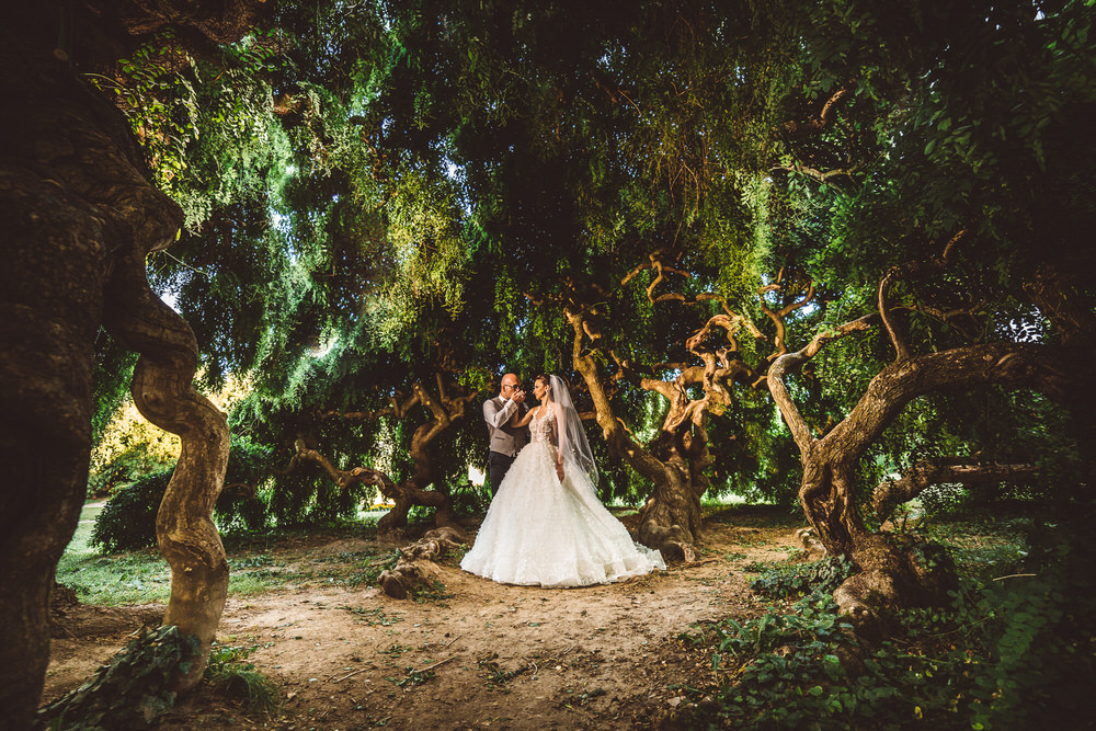 Photograph Lubos Vrtik Inside The Tree on One Eyeland