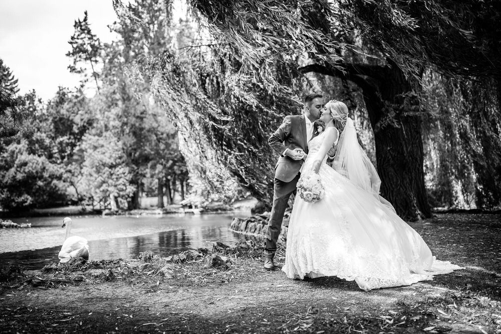 Photograph Lubos Vrtik Swan on One Eyeland