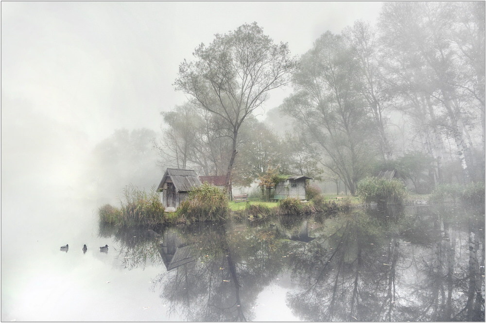 Photograph Gabor Dvornik Silvair on One Eyeland