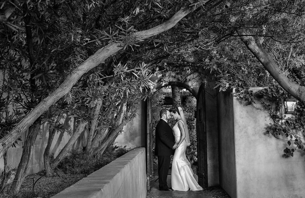 Photograph Rachel Leintz Grace In The Path on One Eyeland