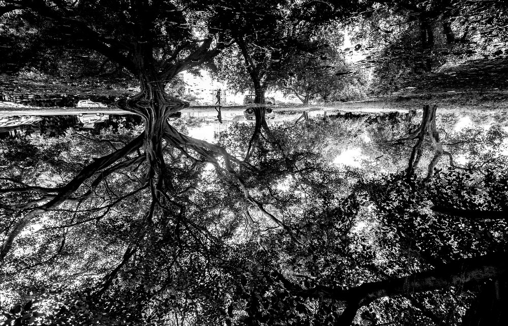 Photograph Sudipta Mallick Upside Down on One Eyeland