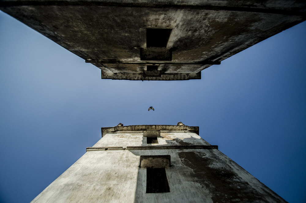 Photograph Sudipta Mallick Flight on One Eyeland