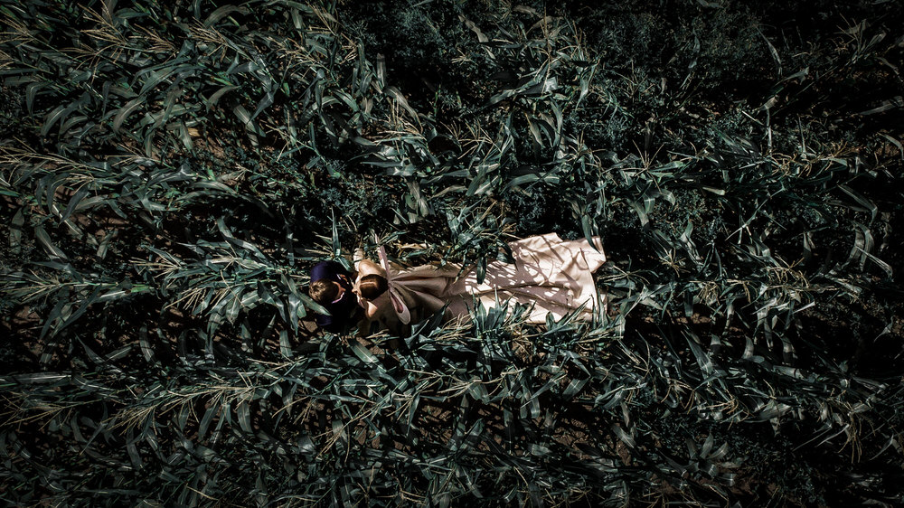 Photograph Monika Krilaviciene Corn Rows on One Eyeland