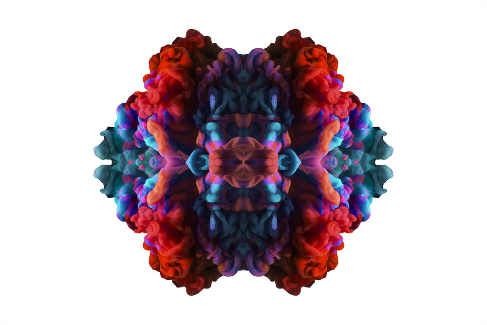 Photograph Joseba Barriola Medusa on One Eyeland