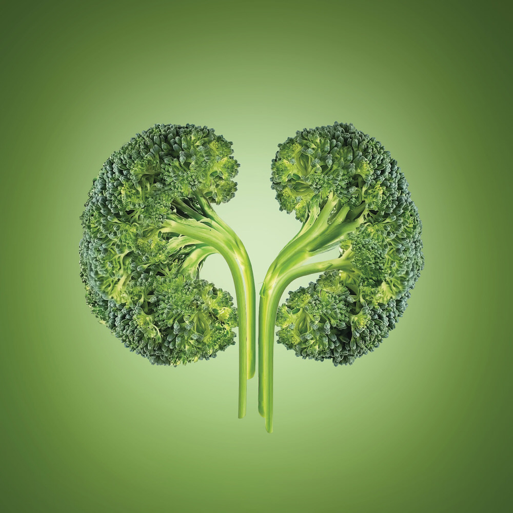 Photograph Vinay Saya Broccoli on One Eyeland