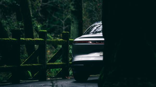 Photograph Patrick Curtet Into The Woods on One Eyeland