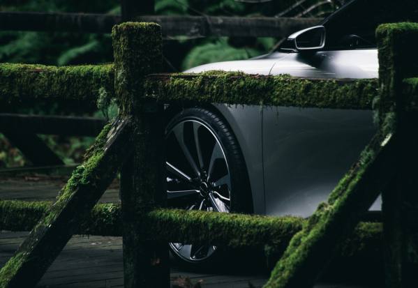 Photograph Patrick Curtet Into The Woods 2 on One Eyeland