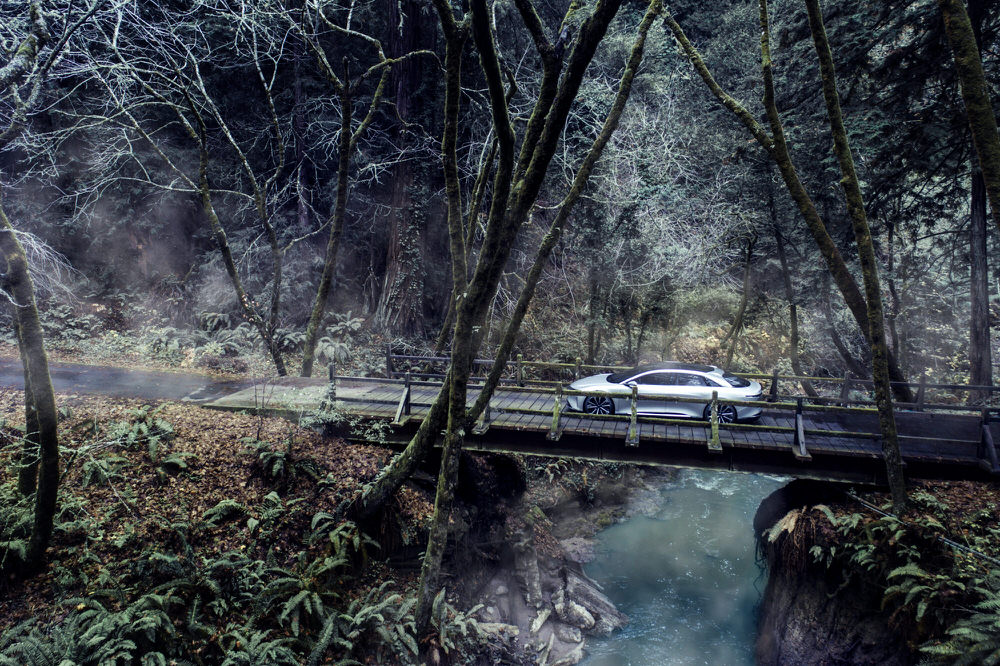 Photograph Patrick Curtet The Wood on One Eyeland