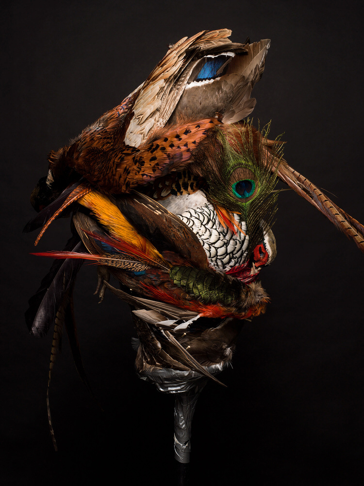 Photograph Pedro Aguilar Nature Morte on One Eyeland