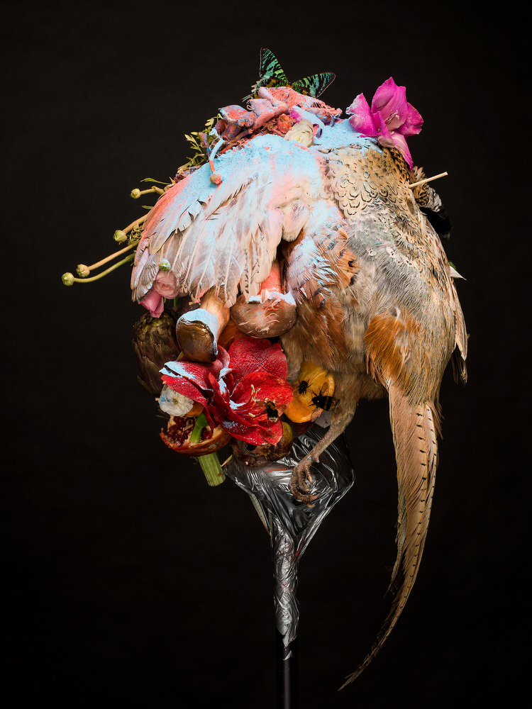Photograph Pedro Aguilar Nature Morte on One Eyeland