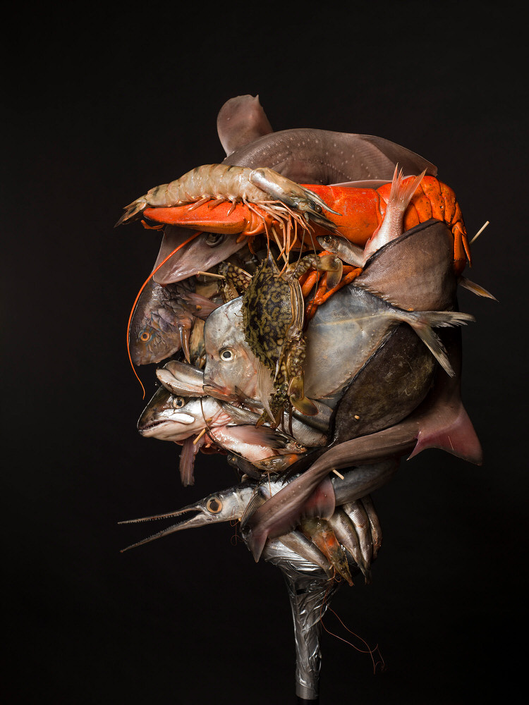 Photograph Pedro Aguilar Nature Morte on One Eyeland