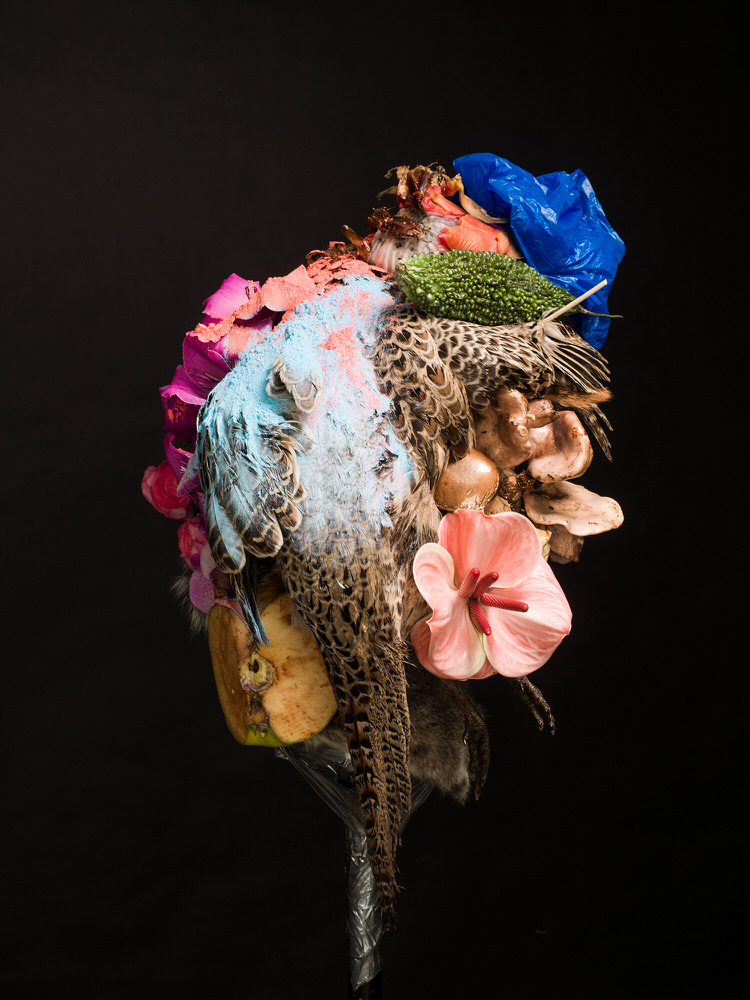 Photograph Pedro Aguilar Nature Morte on One Eyeland