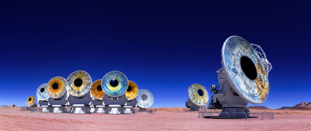 Photograph Antonio Coelho Minions on One Eyeland