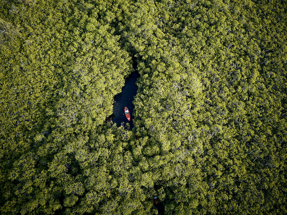 Photograph James Carnegie Mangrove Kayak on One Eyeland