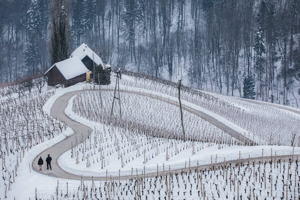 Photograph Jaka Ivancic Hearth Road on One Eyeland