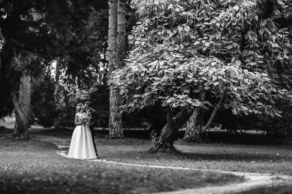 Photograph Lubos Vrtik The Path Of Love on One Eyeland