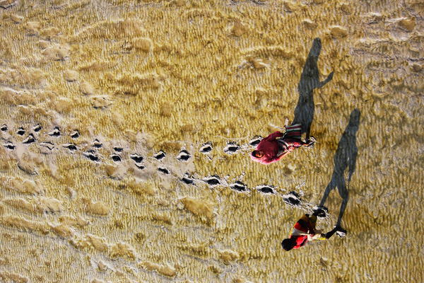 Photograph Dibakar Roy Shadow Of Partnership on One Eyeland