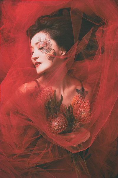 Photograph Daisuke Kiyota Appassionata on One Eyeland