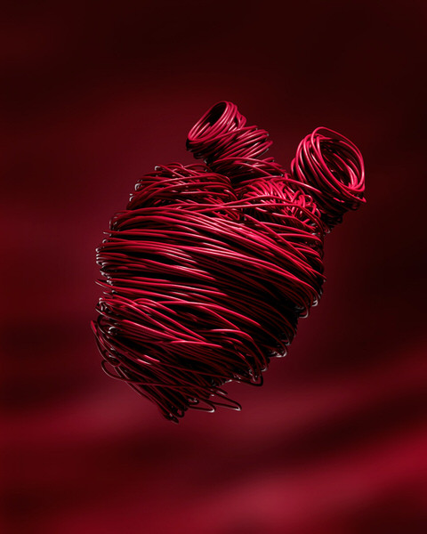 Photograph Francesco Zerilli Concept A Red Heart Made Of Wires on One Eyeland