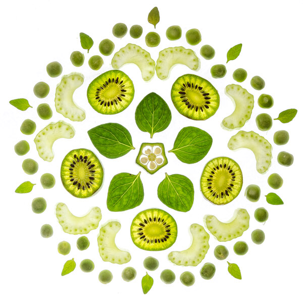 Photograph Giulia Verdinelli Natures Mandalas Green Nature on One Eyeland
