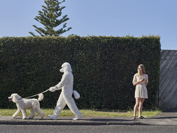 Photograph Matt Queree Go Healthy Dog Walk on One Eyeland