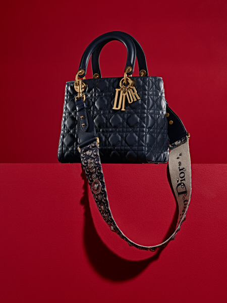 Photograph Robert Tardio Dior Bag on One Eyeland